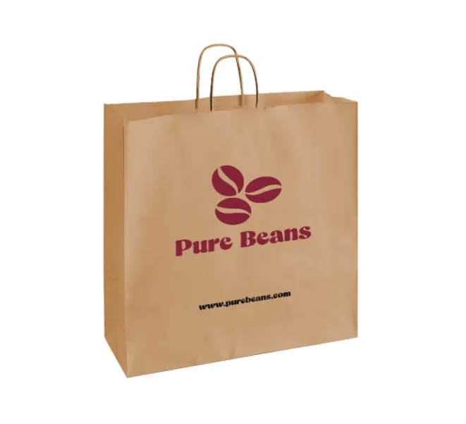 Printed Kraft Paper Shopping Bags (Double Sided) 3
