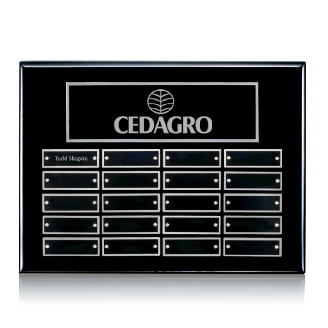 Oakleigh Horiz Pert/Plaque - Black/Silver 3