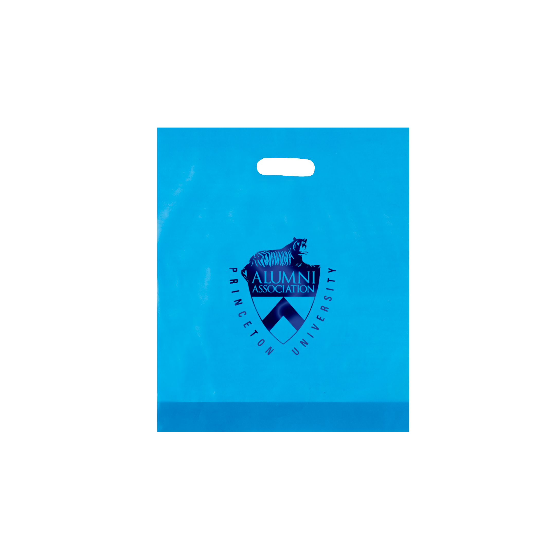 Non Reinforced HDPE Frosted Die Cut Bag 3