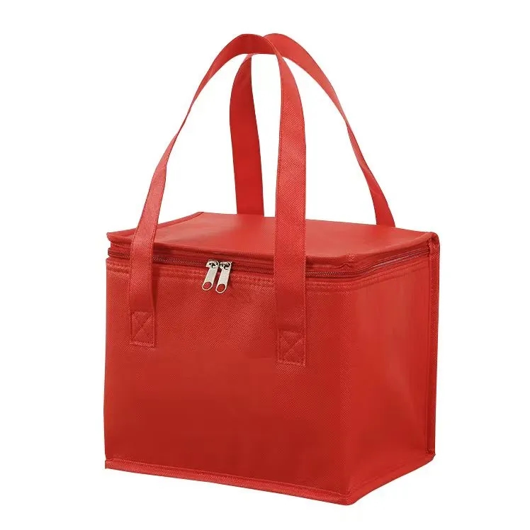 Insulated Food Cooler Bag 2
