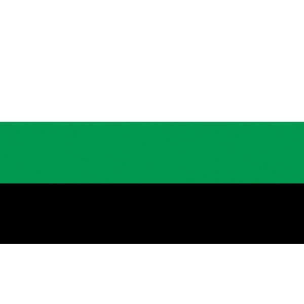 Neutrois Antenna Flag 2