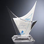 Voyager Award 2