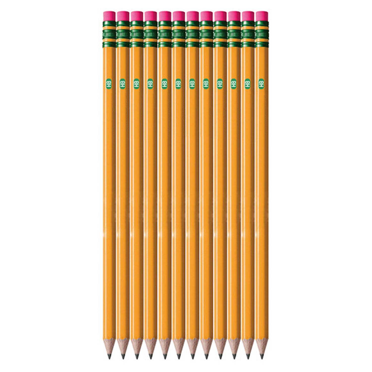 12 Pcs Wooden Sketching Pencils Set w/ Eraser 5