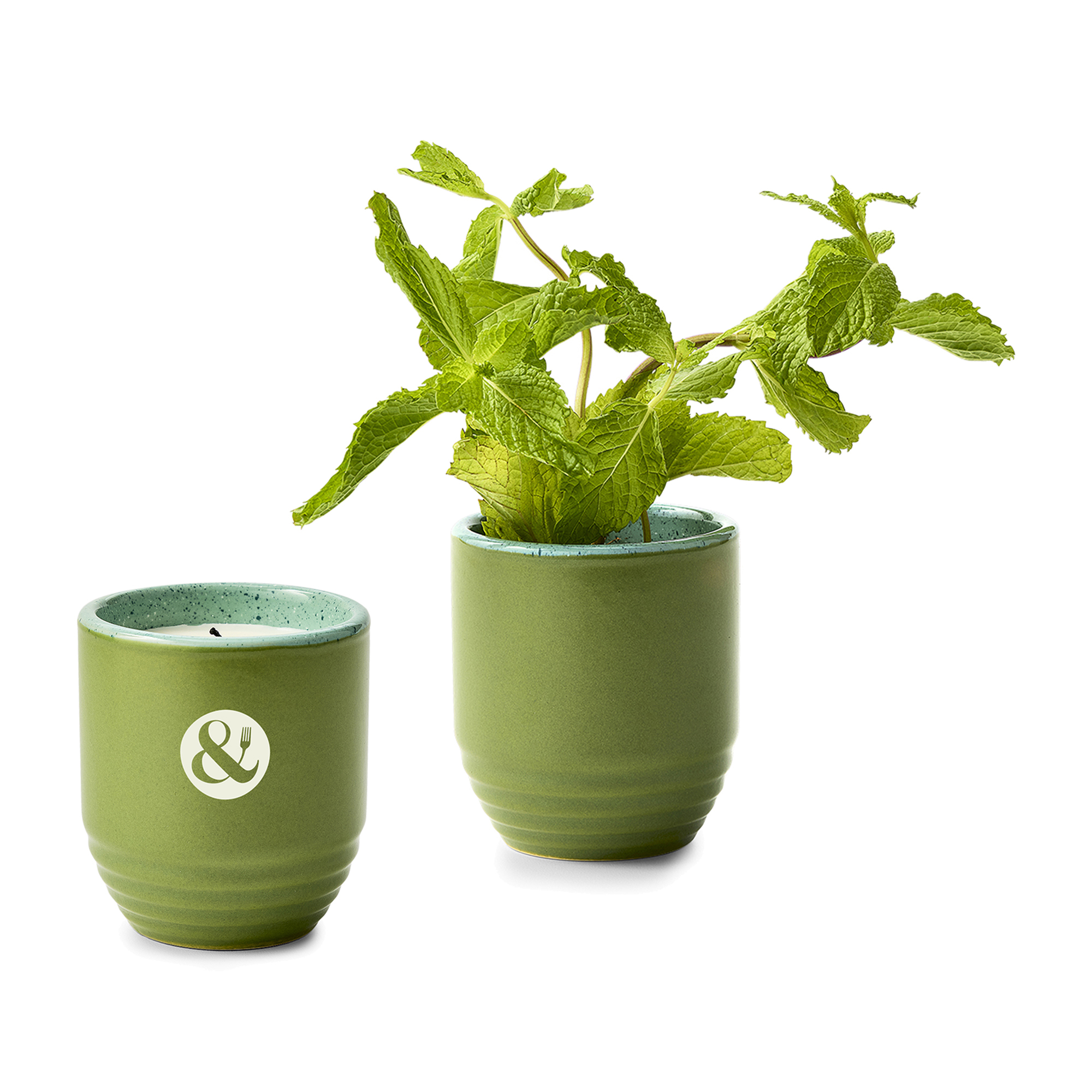 Modern Sprout® Garden Vibes Candle/Planter 45