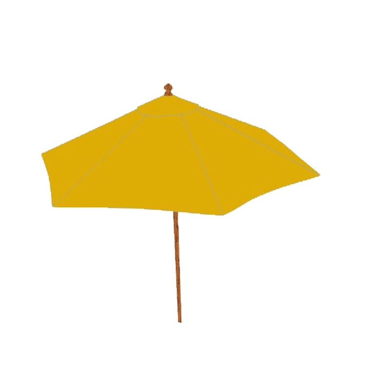 Beach umbrella 2