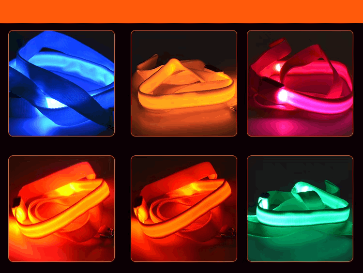 Led Dog Collar Tracing Rope 10