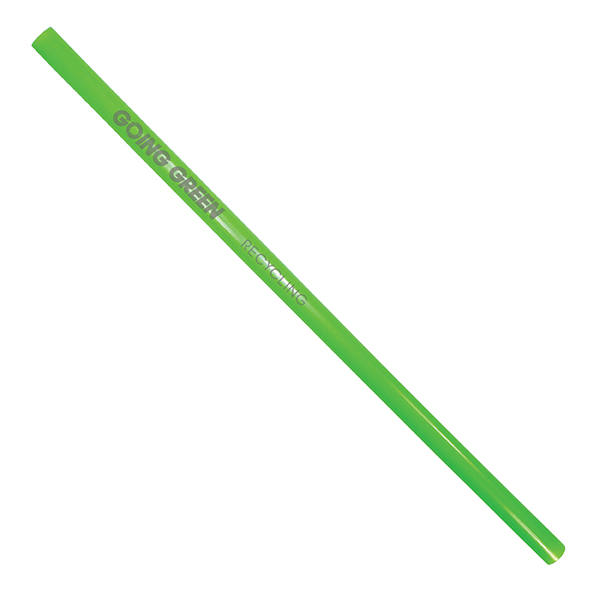 Reusable Standard Straw 1