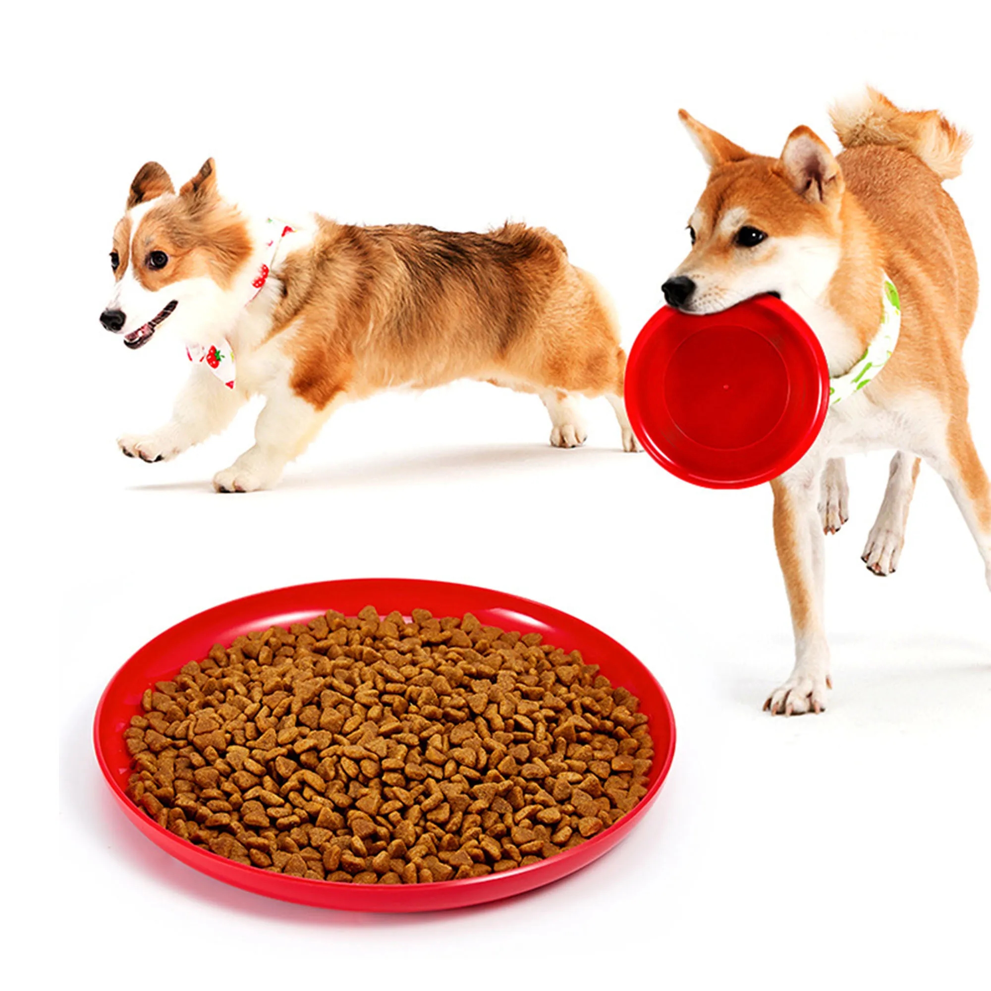 9 Inch Plastic Flying Disc 12