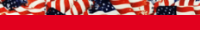 Americana Adult Pullover Hoodie 6