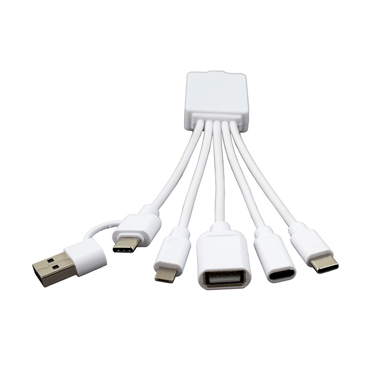 "FUSION" Charging Cable With 2 Port USB Hub 23