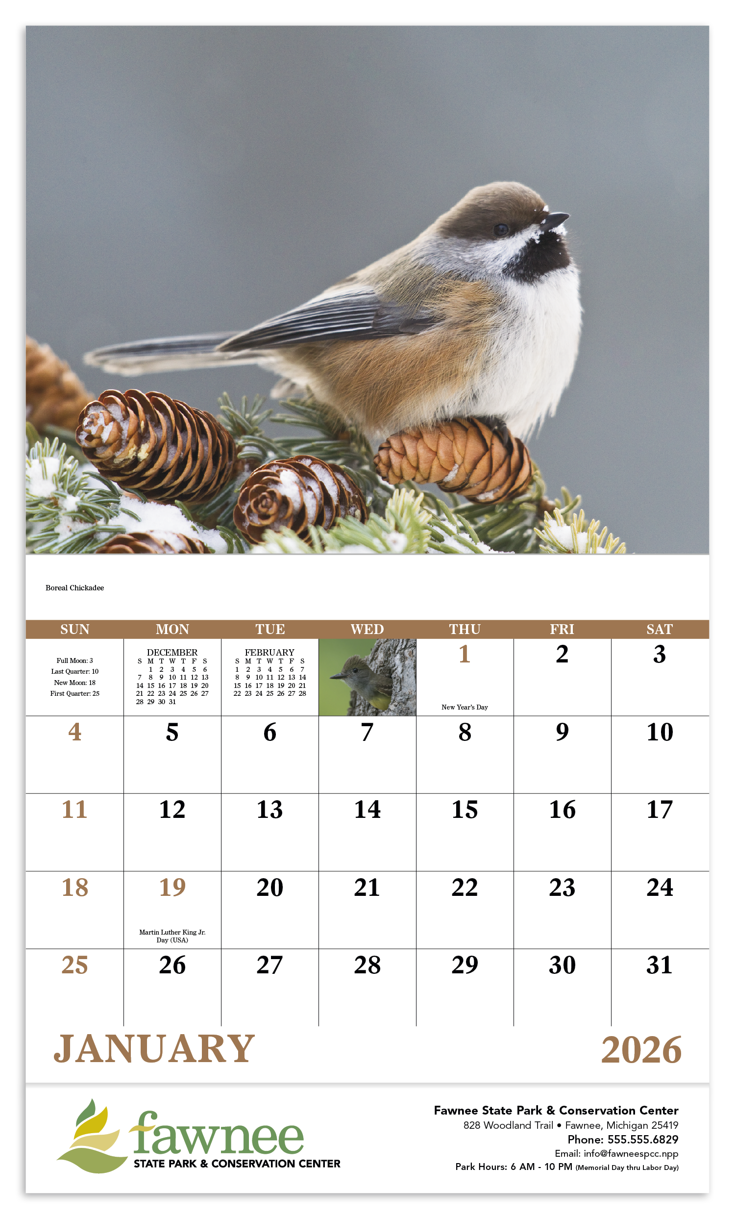 Good Value™ Birds of North America - Stapled Calendar 51