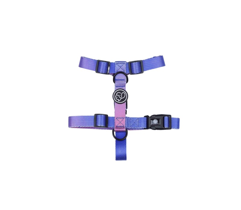 Stylish Adjustable Pet Vest Harness-Medium 2