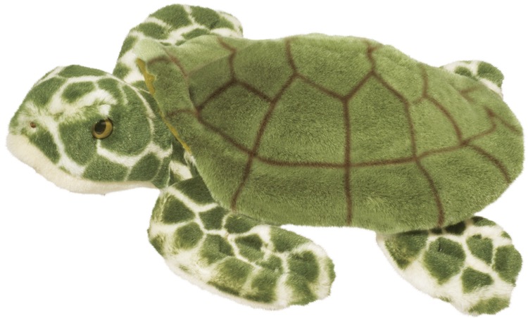 Toti Sea Turtle 2