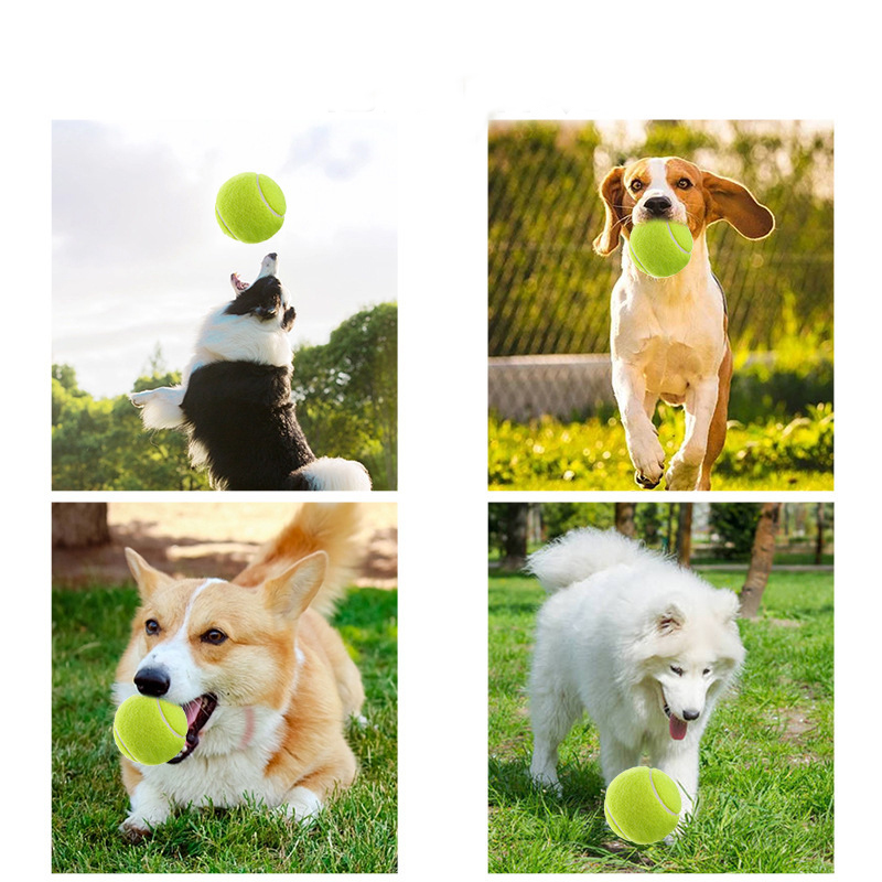 Squeaky Tennis Balls 2