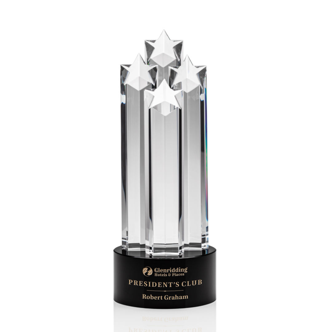 Ascot Star Award - Black 4