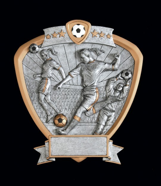 Soccer Female Signature Shield Series Award 2