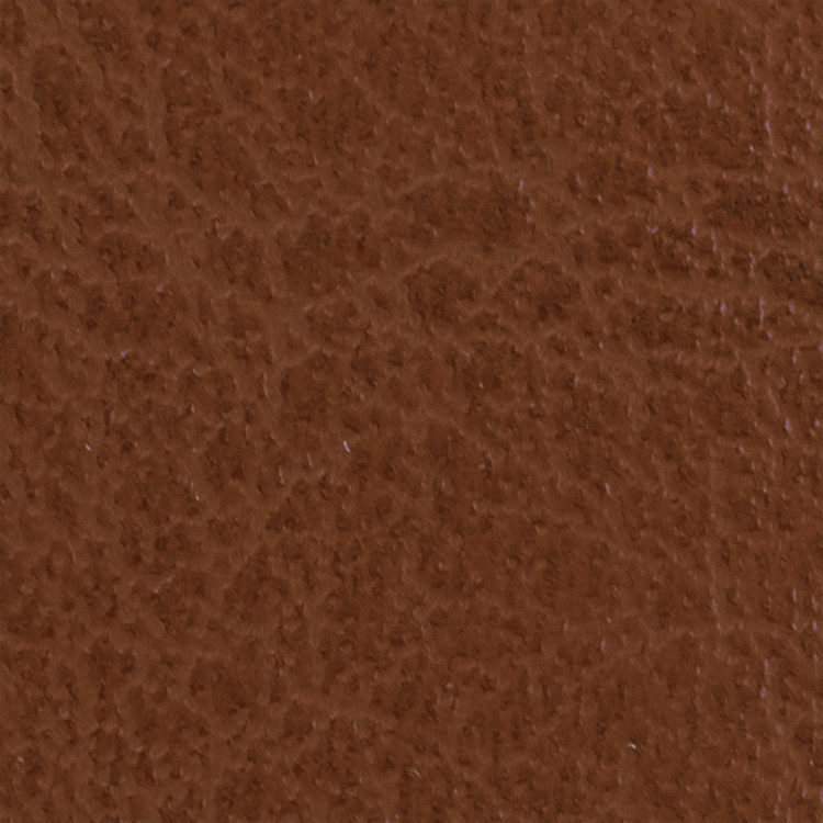 5" Faux Leather Patch 12