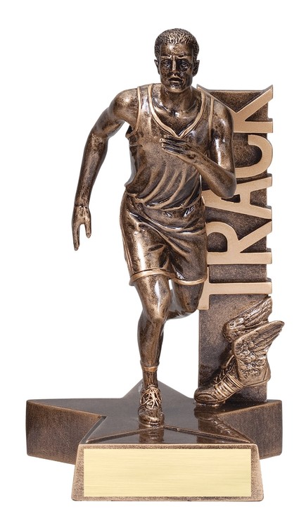 8 1/2" Tall Track Male Billboard Resin Award 2