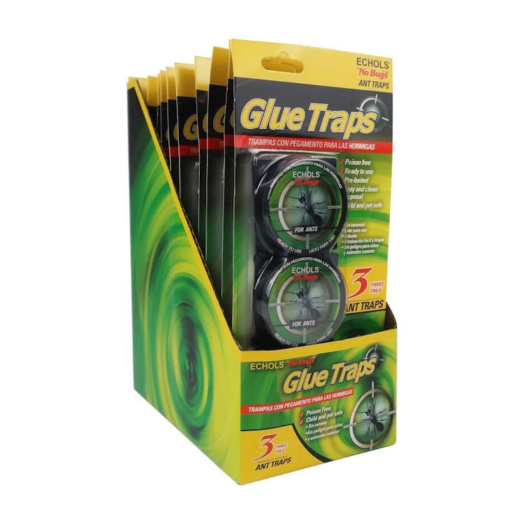 Ant Glue Traps - 3 count 2