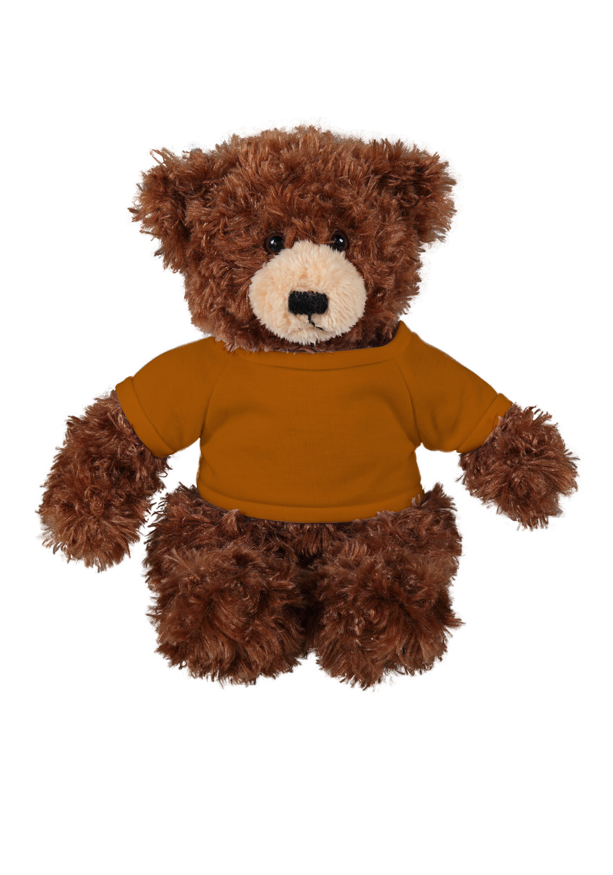 soft plush Chocolate Brandon Bear with t-shirt 18