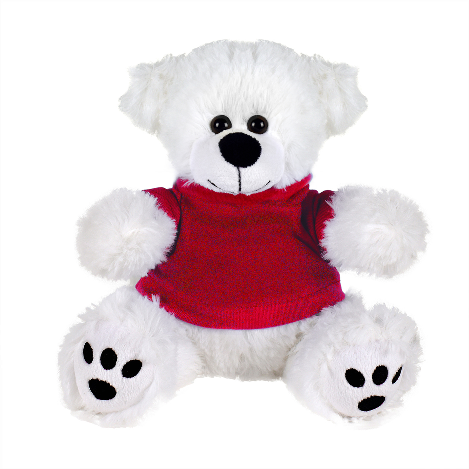 Plush Bear w/ Embroidered Paws and T-Shirt 43