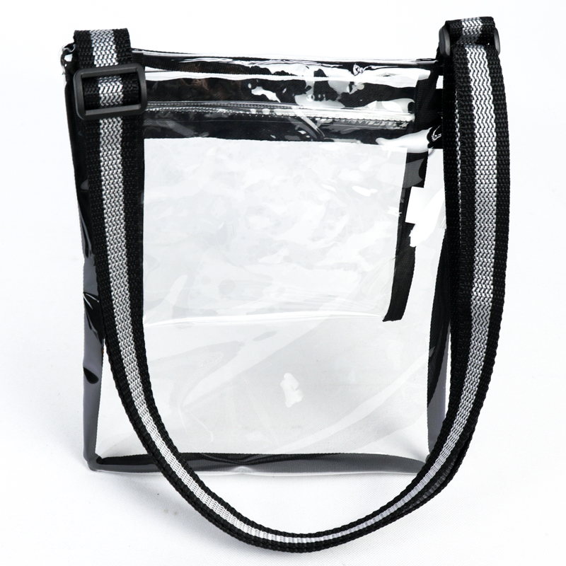 Eco Friendly Clear Purse/ Satchel 6