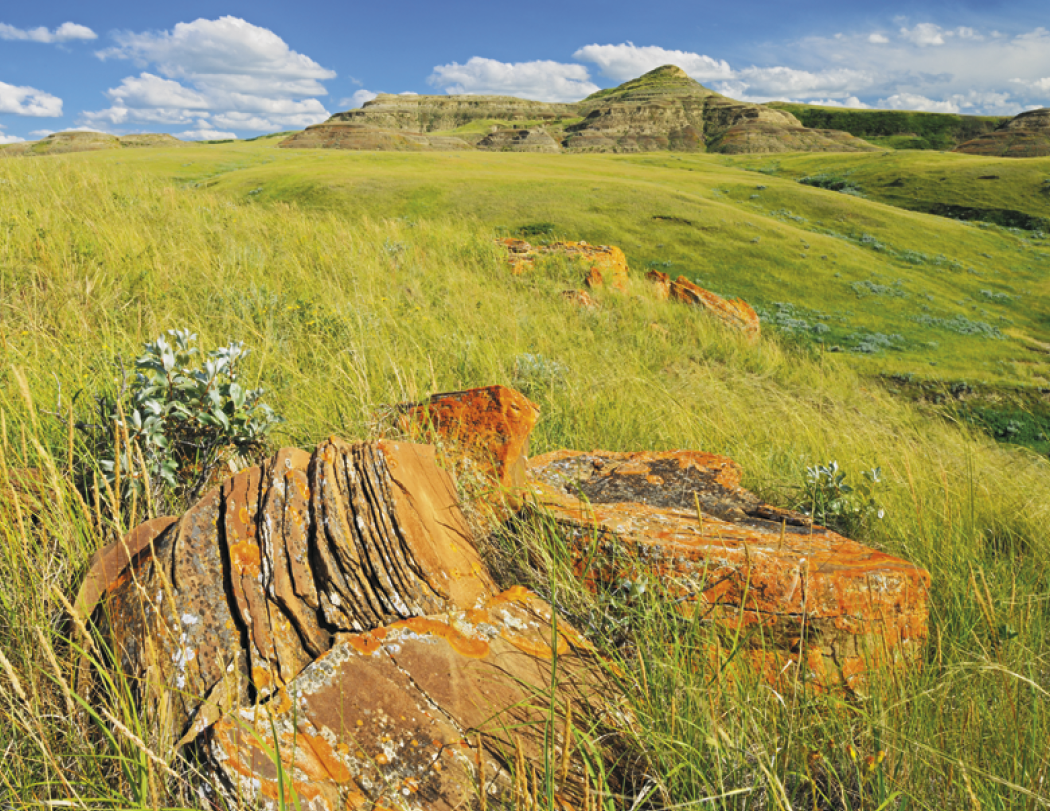 Good Value™ Scenic Canada - Window Calendar 35