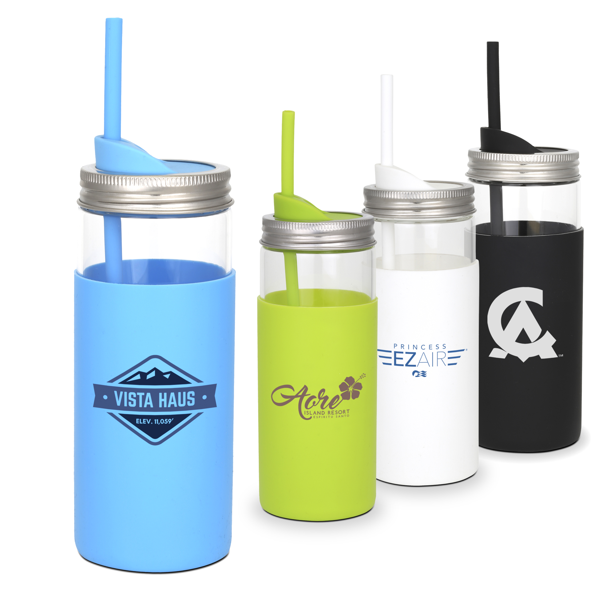 Galapagos  Borosilicate Glass Mason Jar with Silicone Lid and Straw