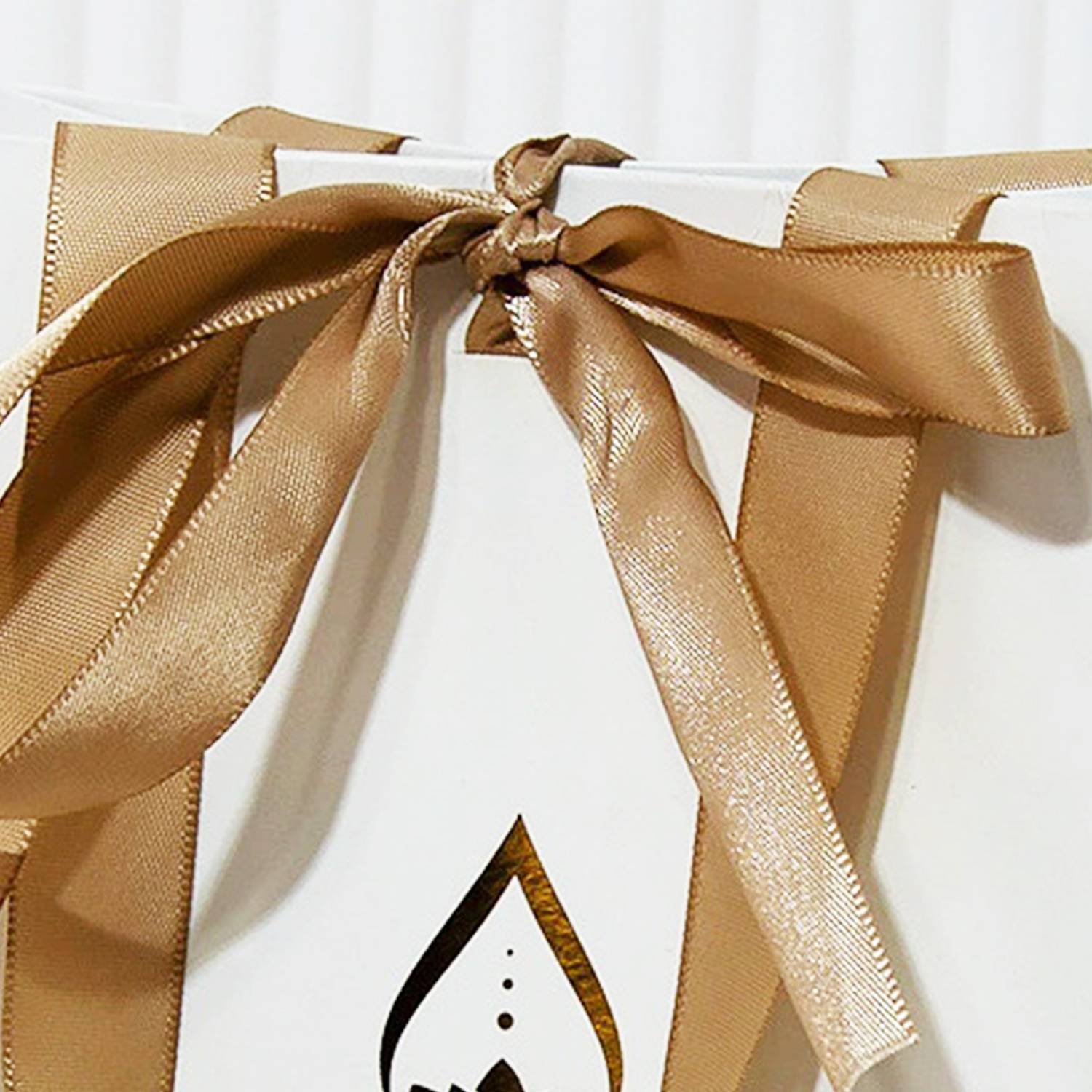 Gift Paper Shopping Bag W/ Bow Ribbon 2