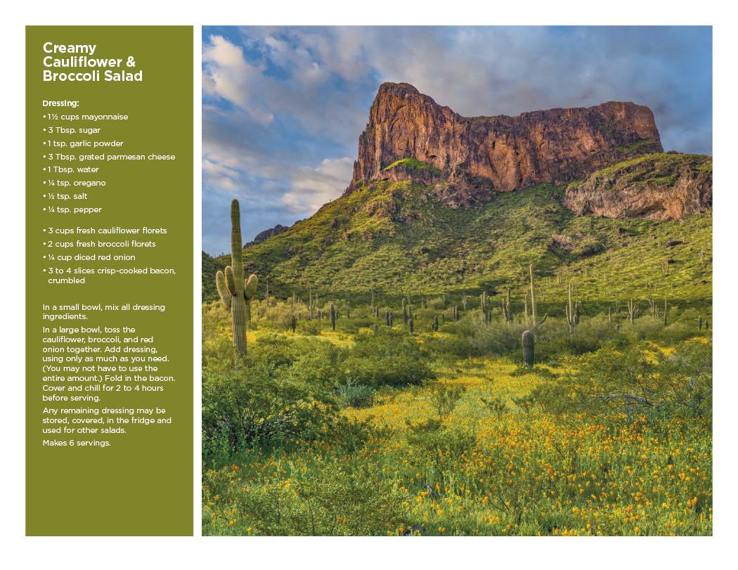 Triumph® Calendars America the Beautiful with Recipes Calendar 19