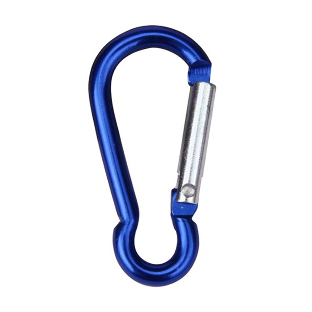 Refined Carabiner Clip Keychain 20