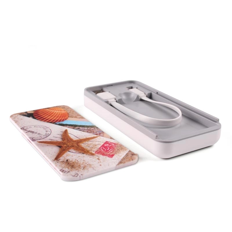 Power bank kit with build-in cable and USB drive in a travel 1