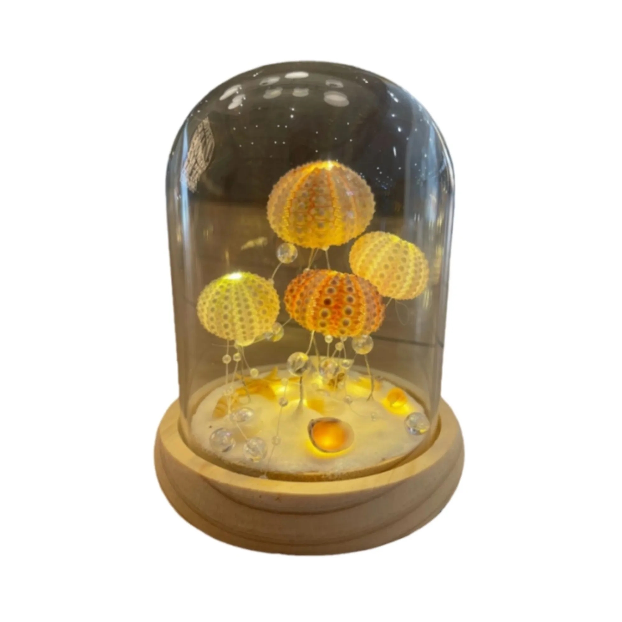 Illuminated Seashell Ornament Ambient 3