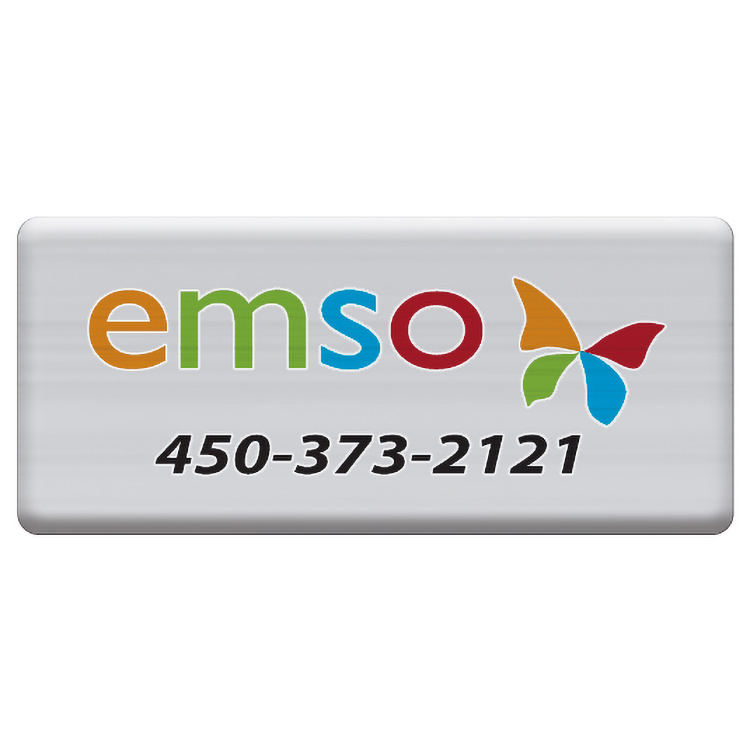 5 Sq. Inch Custom 4 Colour Process Matte Silver Polyester Domed Decal 3