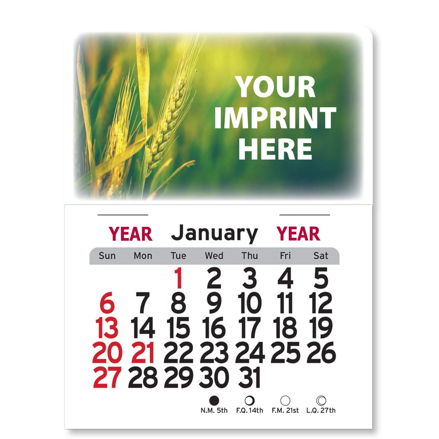 Adhesive Peel-N-Stick® Calendar - Rectangle 5