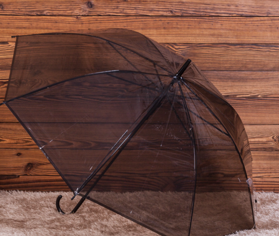 Straight Transparent Umbrella 1