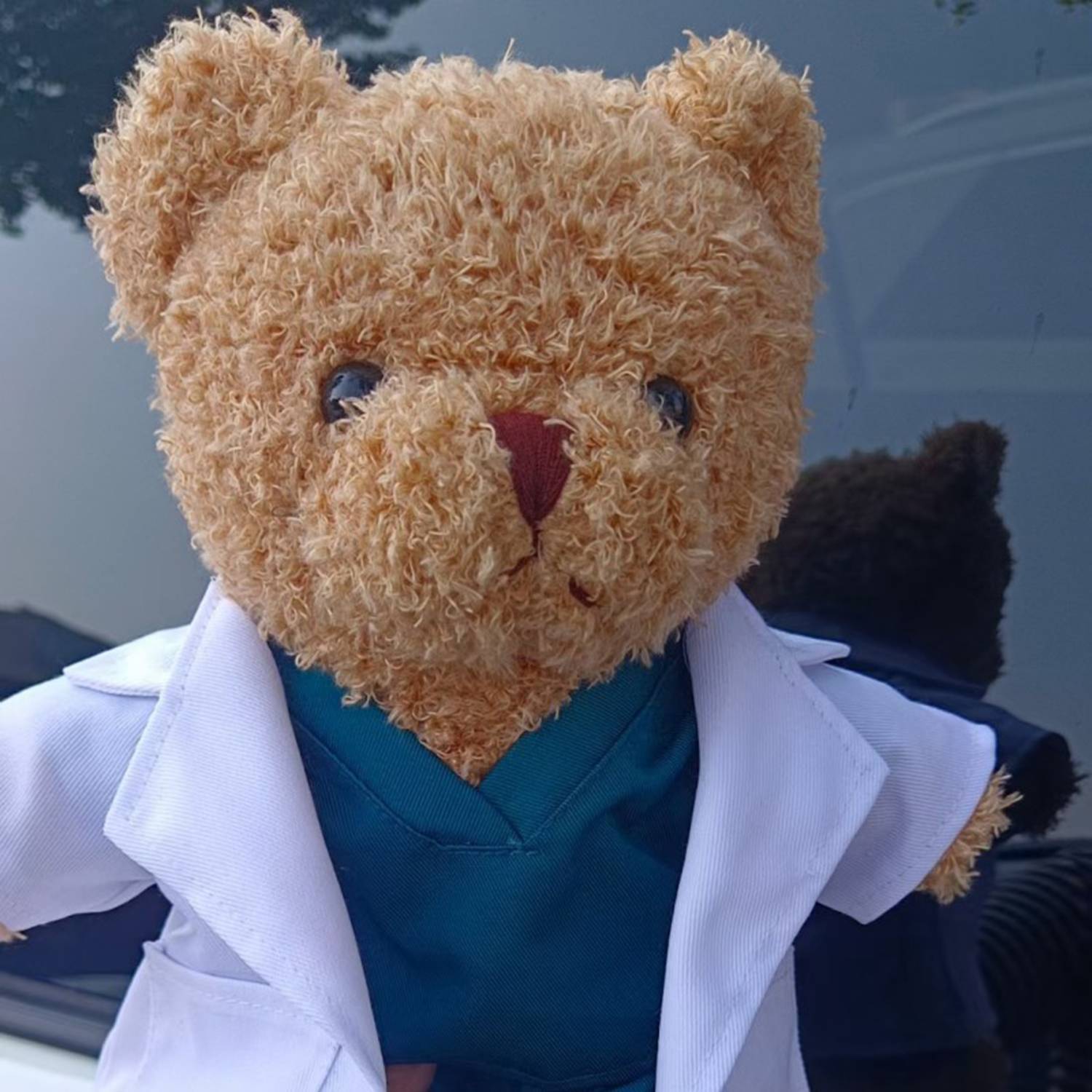White Coat Medical Gifts Stuffed Dr. Bears 5