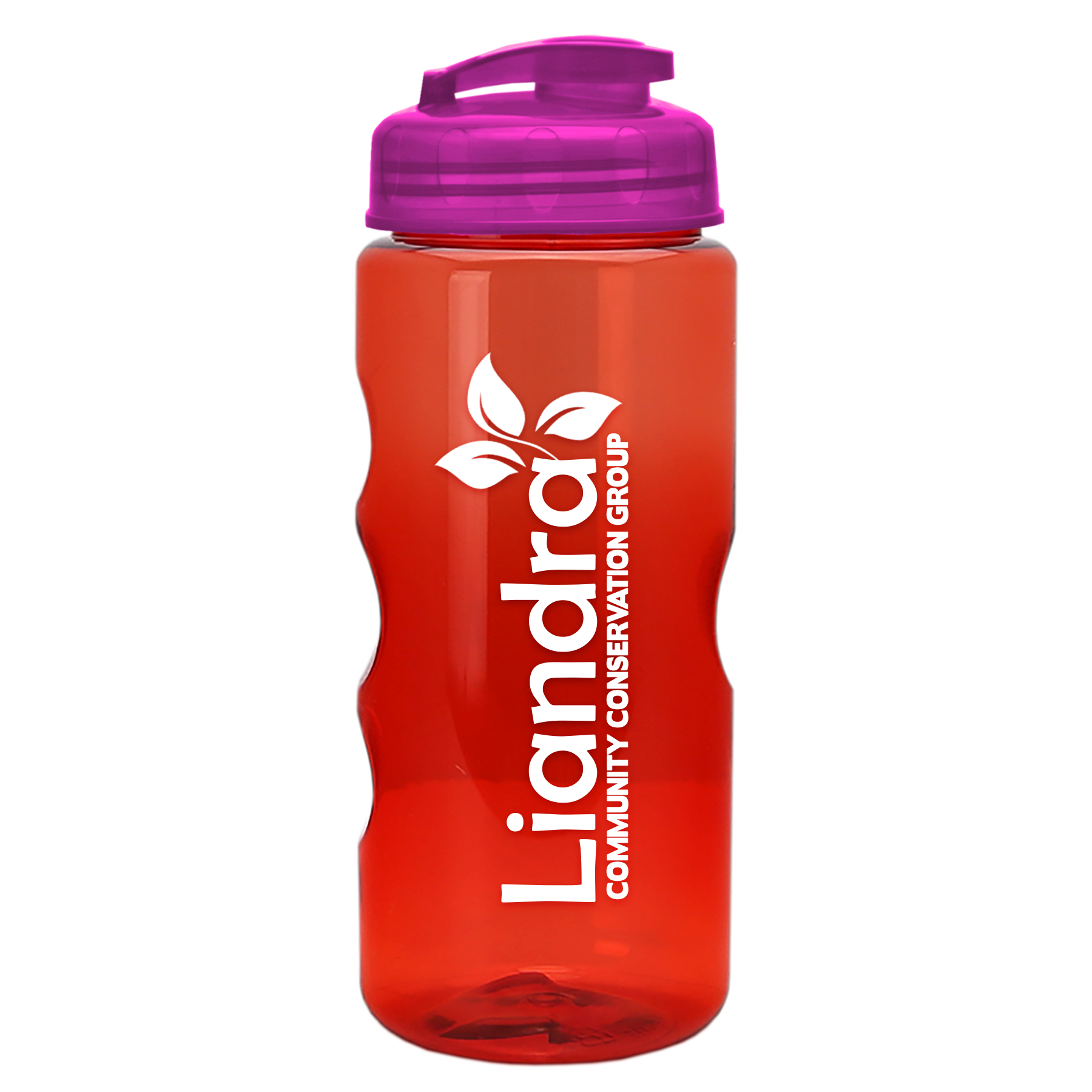 Garyline® Mini Mountain Tritan® Bottle with Flip-Top Lid - 22 oz. 421