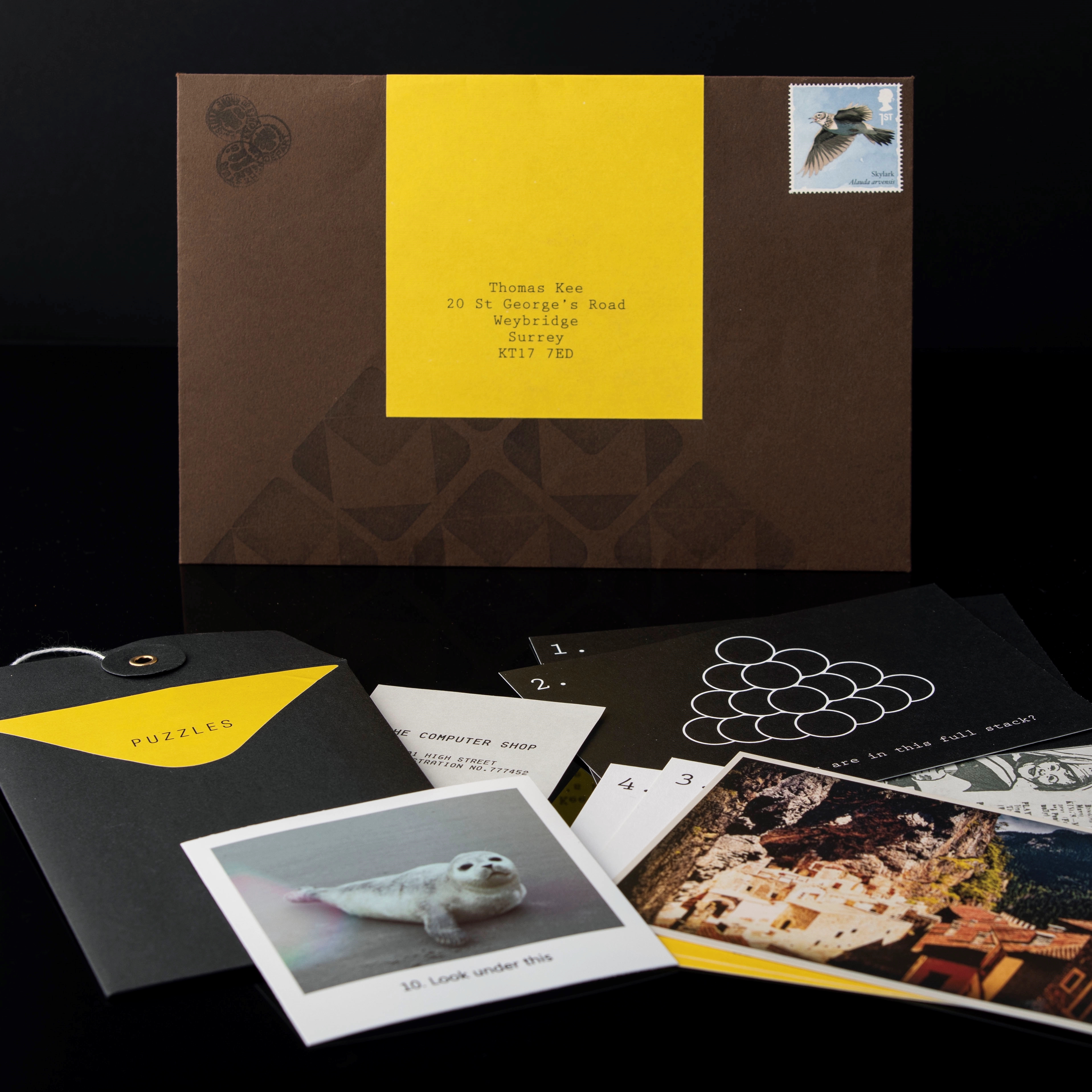 Puzzle Mailer - The Enigmagram an Escape Room Puzzle Gift 8