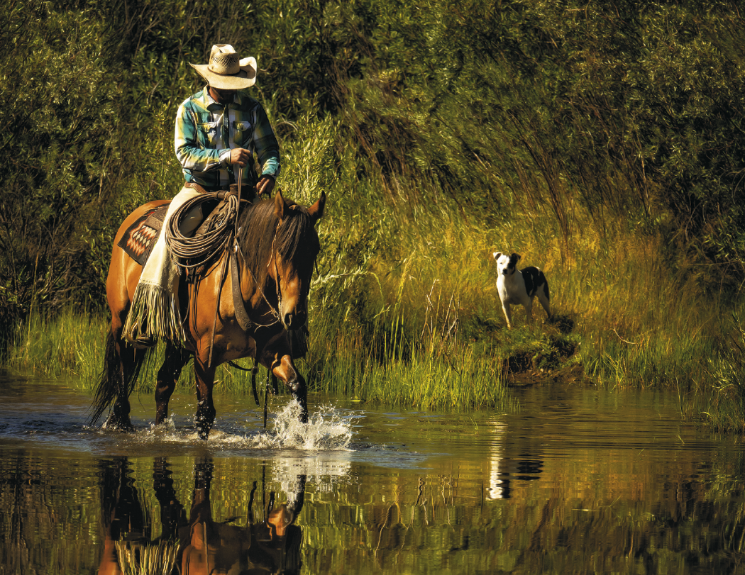 Triumph® Calendars Visions of the West Calendar 46