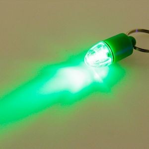 Bullet Shaped LED Safety Light For Pets Push Button Activation With Carabiner 11