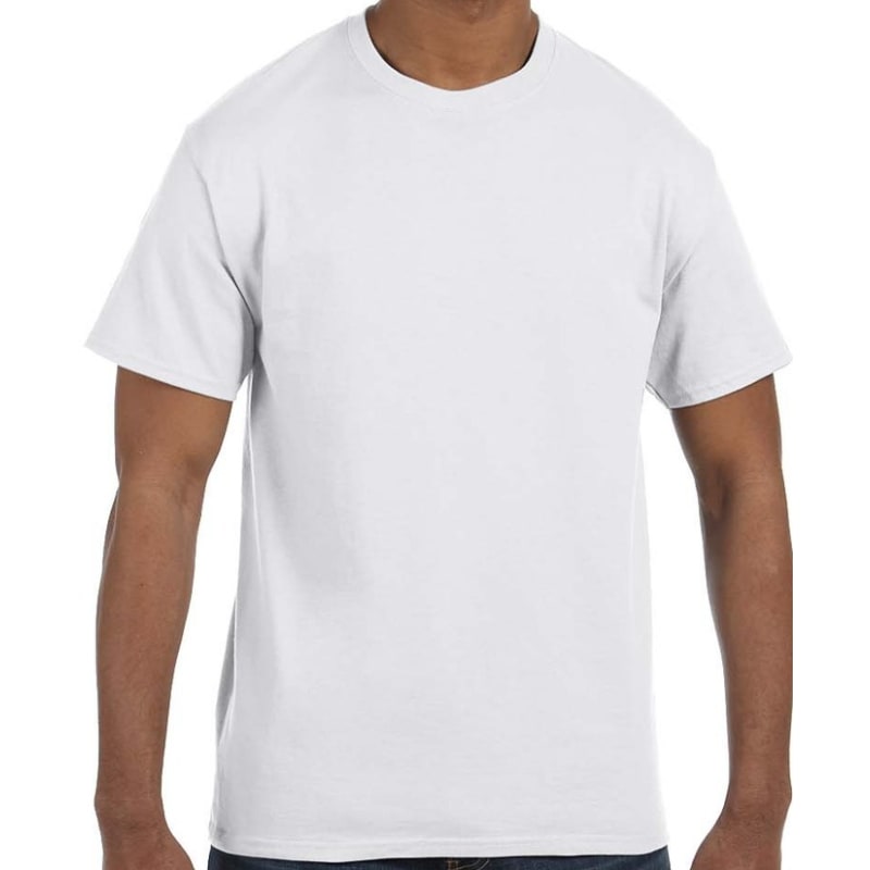Hanes Men's Authentic-T T-Shirt 82