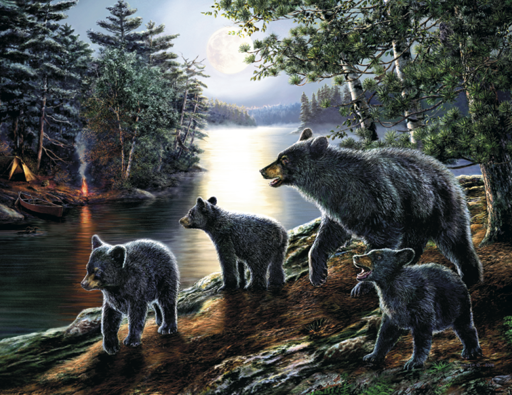 Good Value™ Wildlife Canvas - Stapled Calendar 40