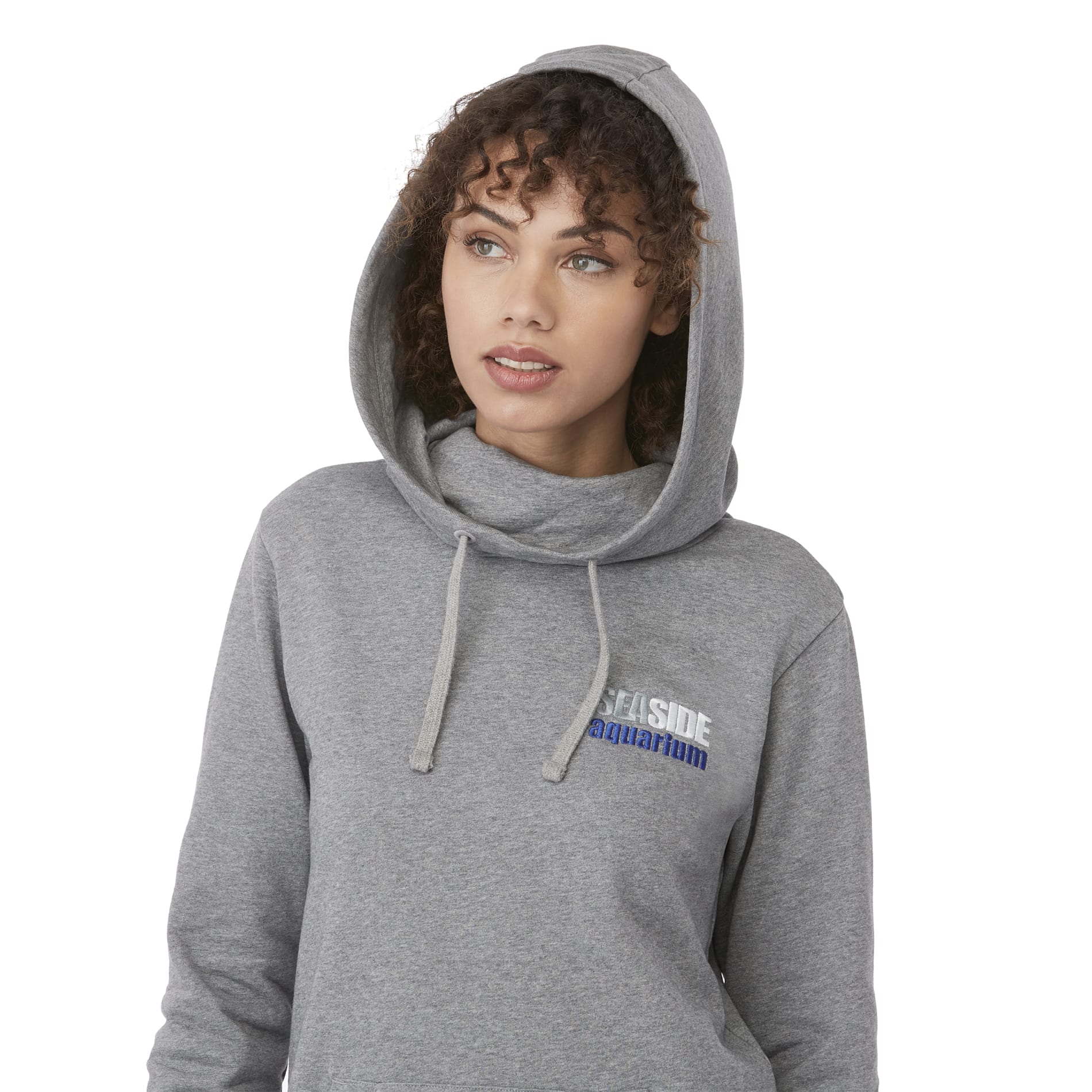tentree Organic Cotton Banshee Hoodie - Women's 93