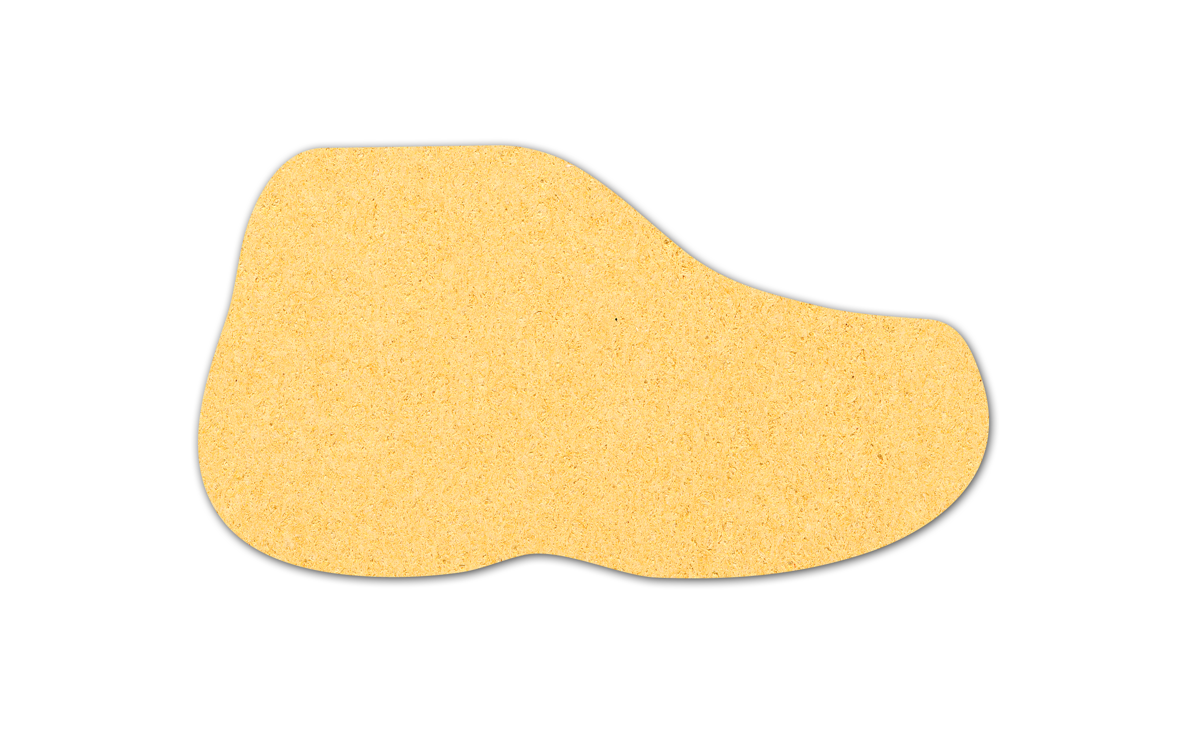 Sneaker Compressed Sponge 11