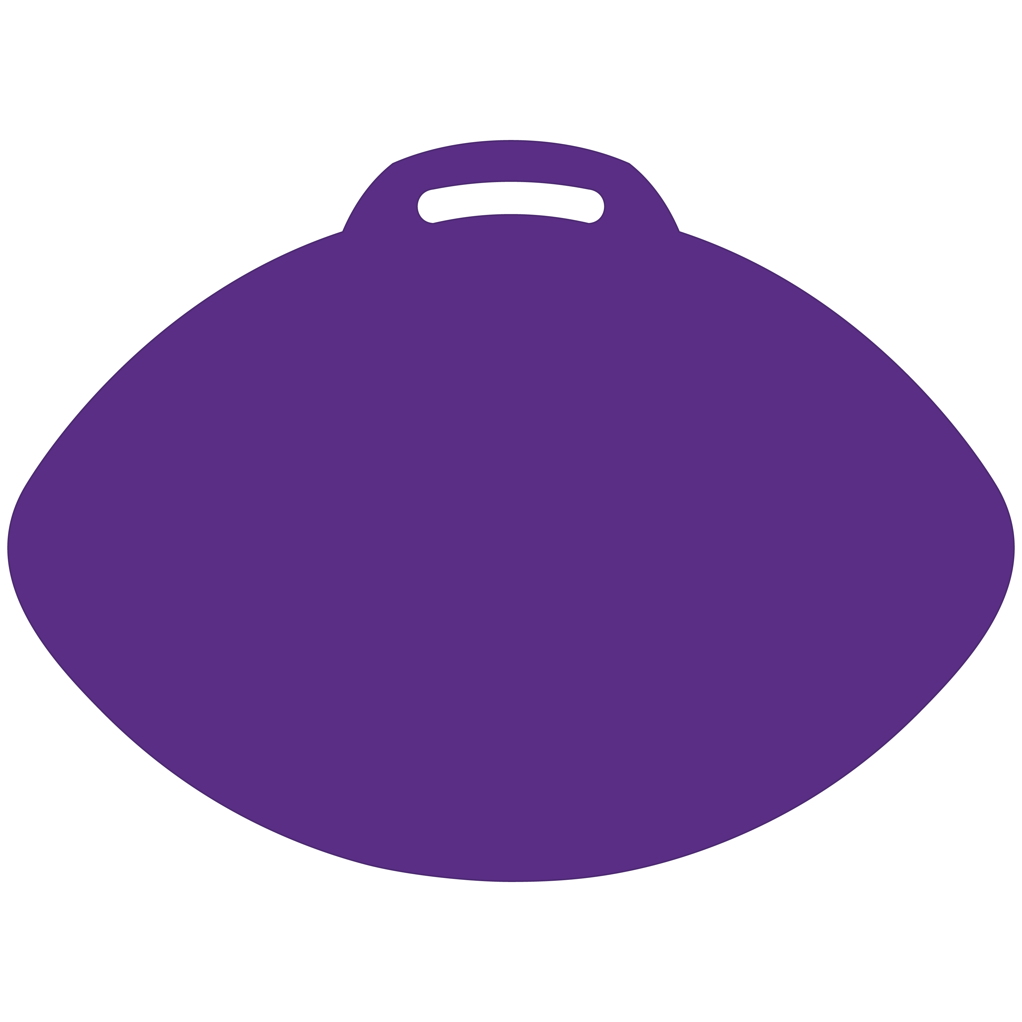 Football-Shaped Vinyl Stadium Cushion (18") 17