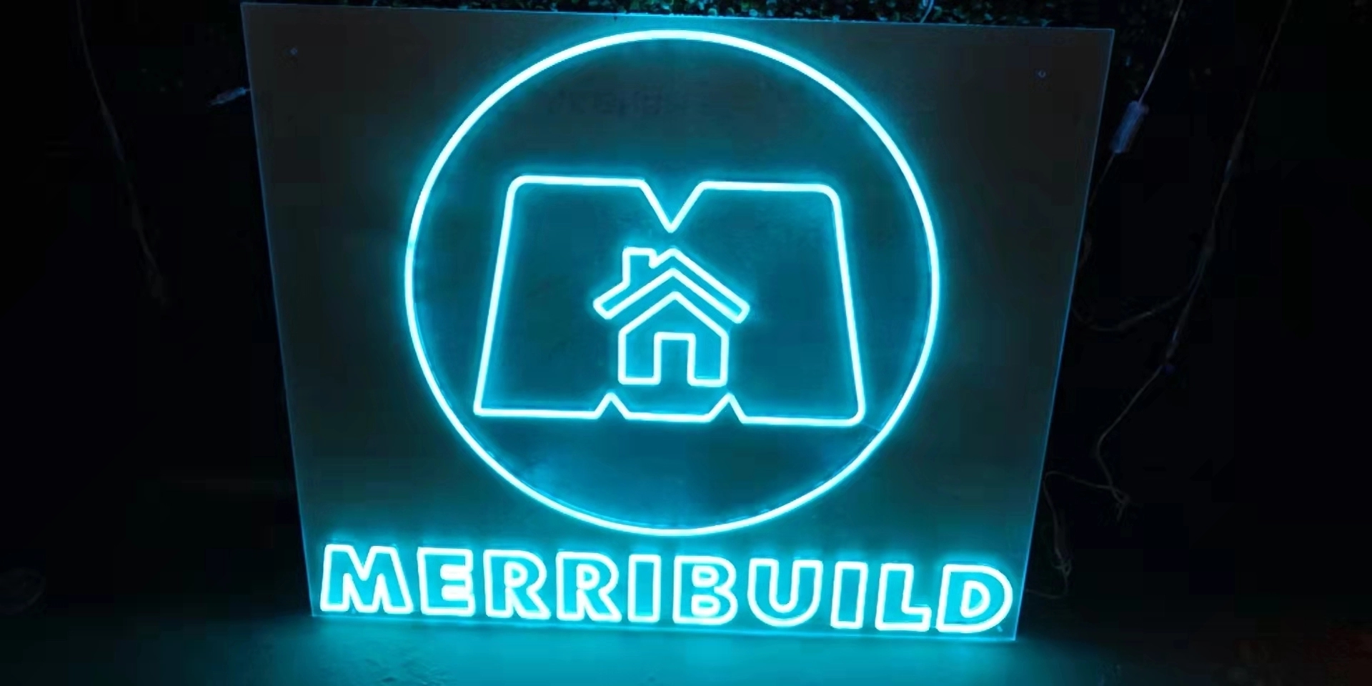 Custom Neon LED Lights 9