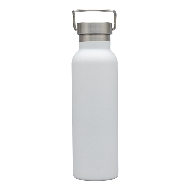 Splendid 22 oz. Double Wall Stainless Steel Bottle 14