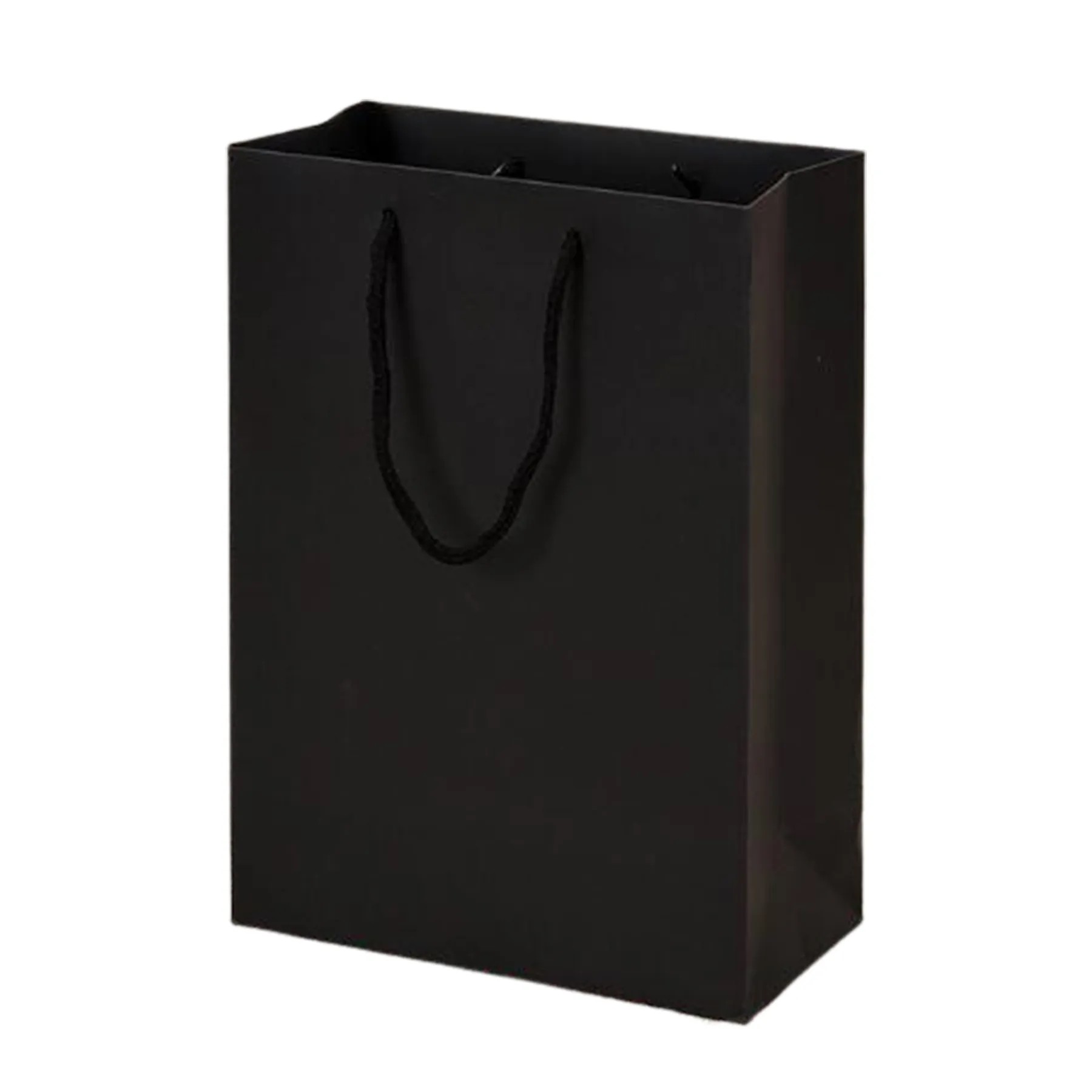 Black Paper Gift Bag 2