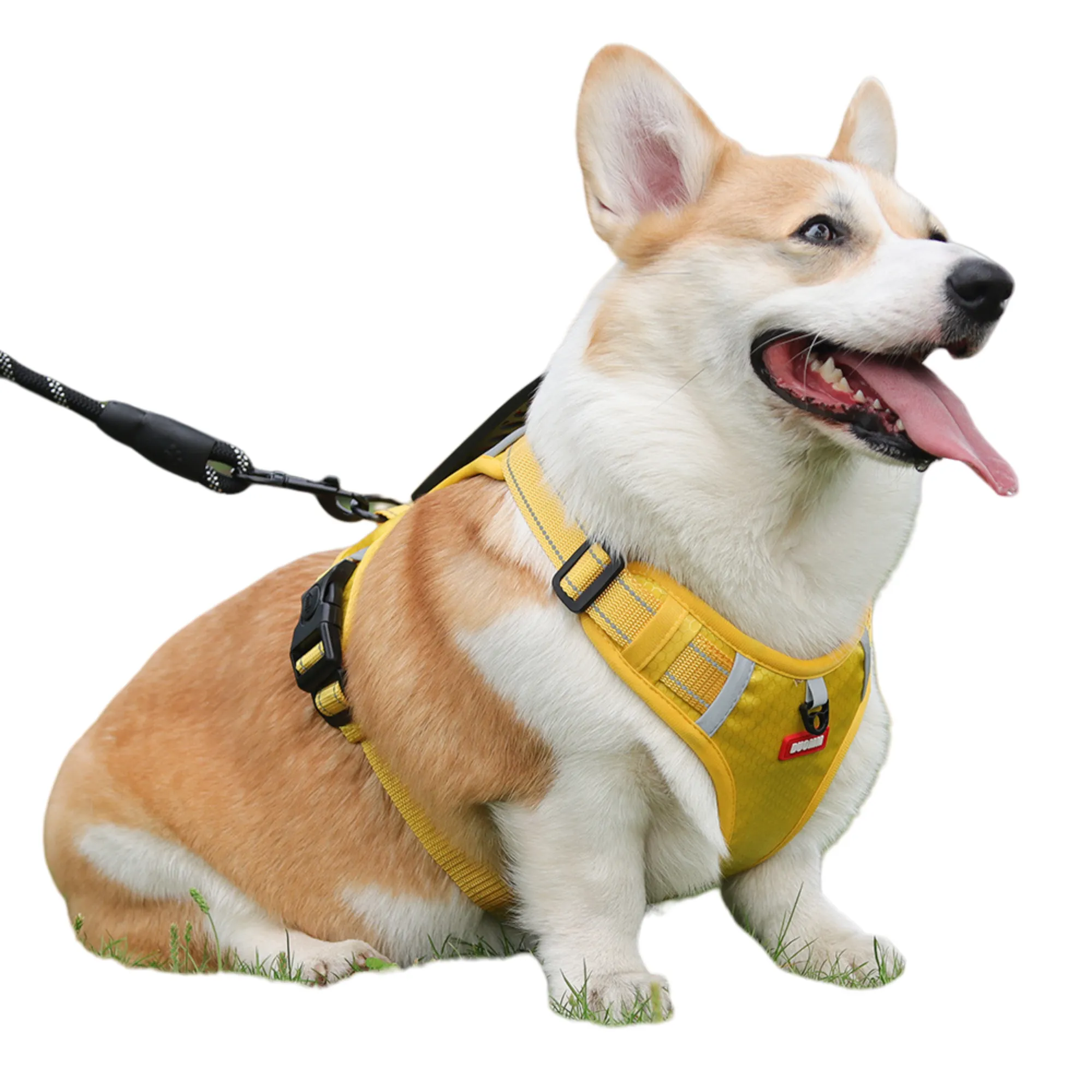Pet Dog Chest Harness Without Leash 2